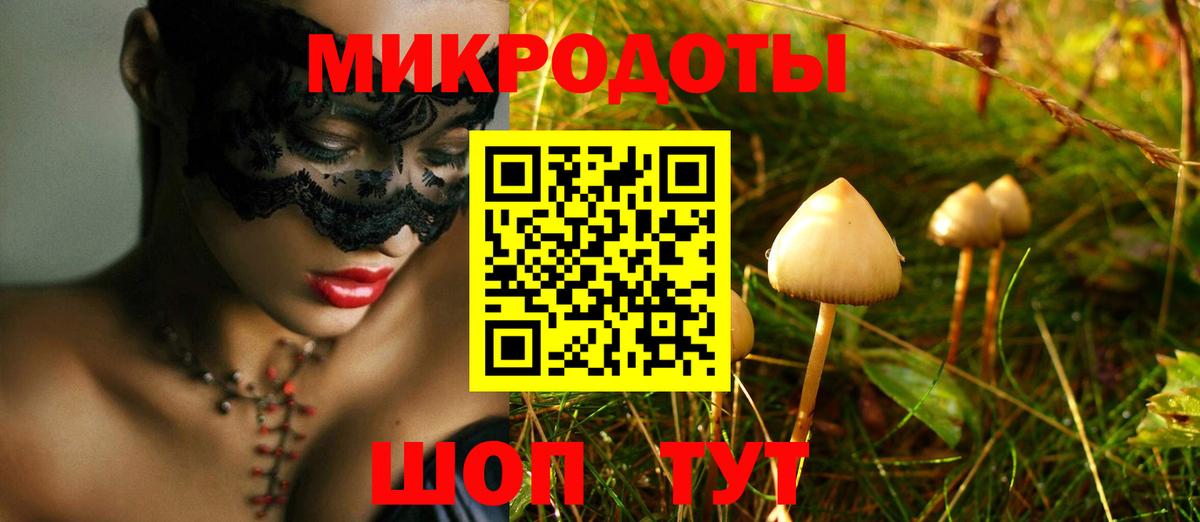 Псилоцибиновые грибы мухоморы Дербент
